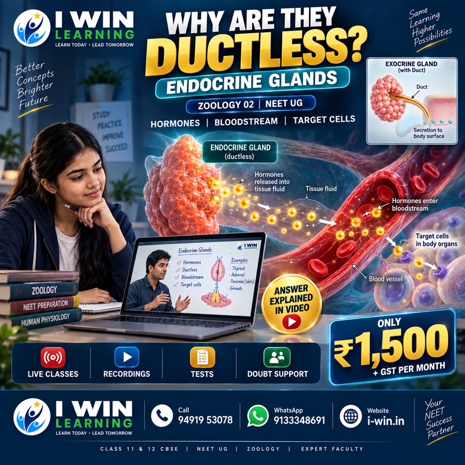 Why Are Endocrine Glands Called Ductless Glands?